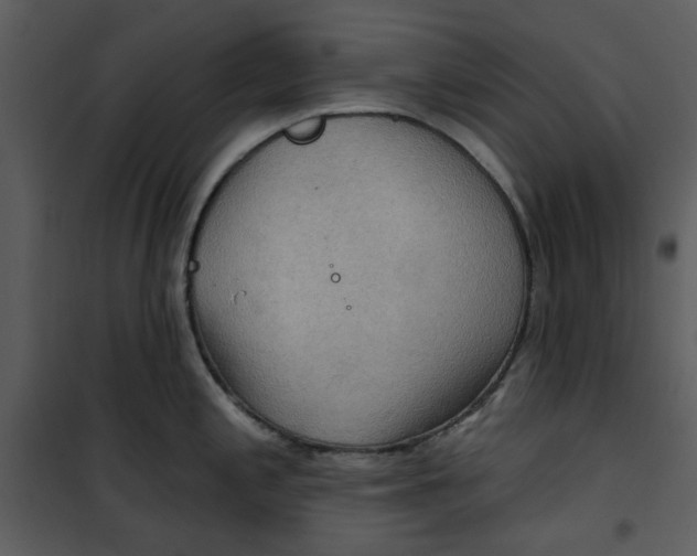 X0000101161197200807181351