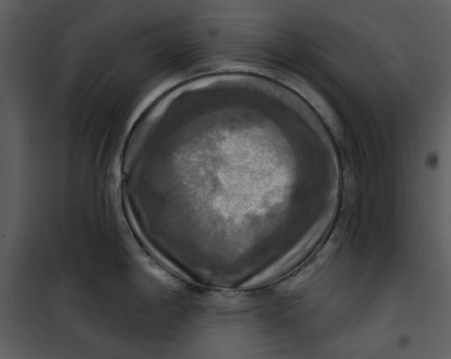 X0000101161198200807181351