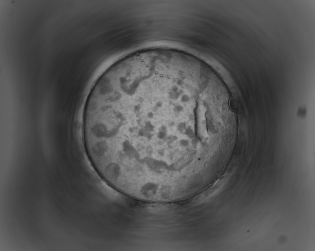 X0000101161199200807181351