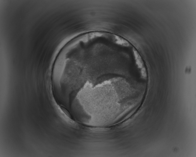 X0000101161200200807181351