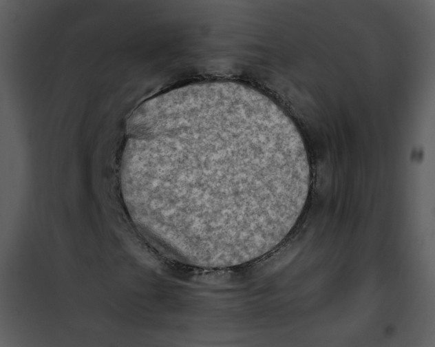 X0000101161201200807181350