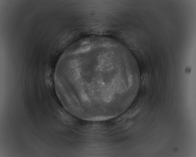 X0000101161202200807181350