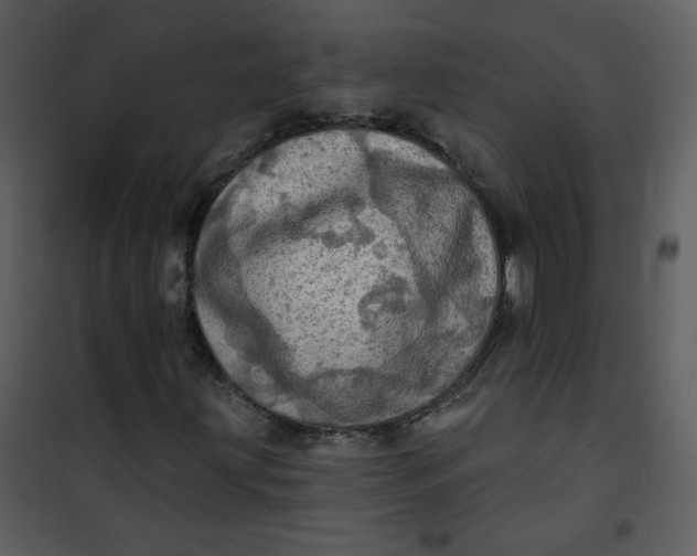 X0000101161203200807181350