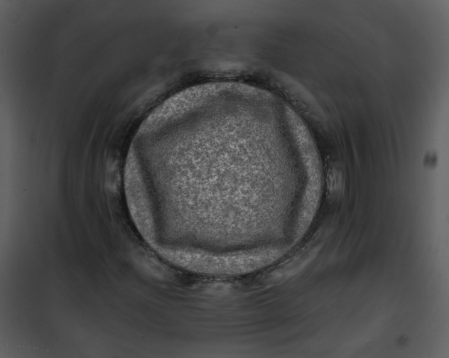 X0000101161204200807181350