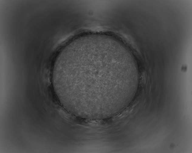 X0000101161205200807181350