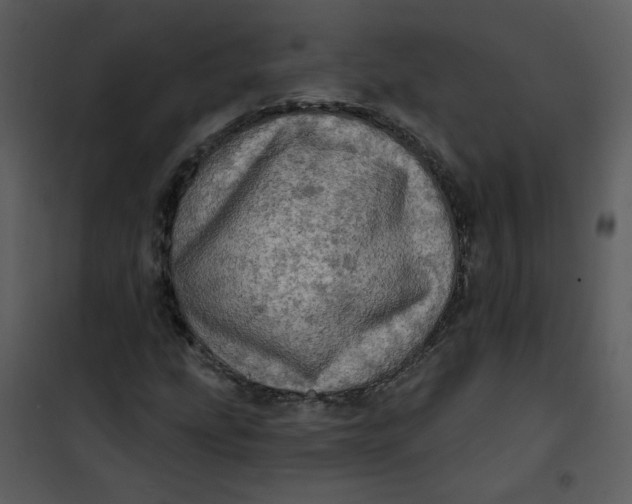 X0000101161207200807181350