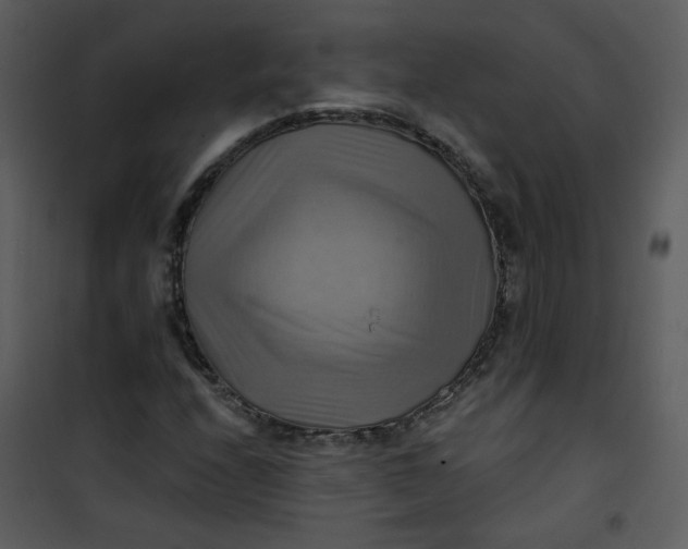 X0000101161208200807181350