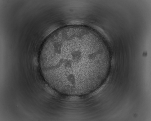 X0000101161209200807181351