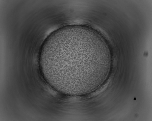 X0000101161210200807181351