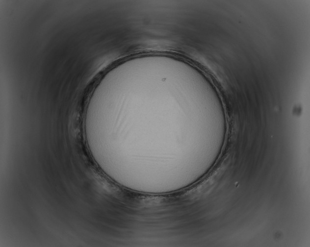 X0000101161211200807181351