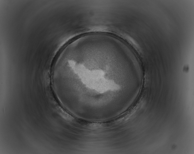 X0000101161212200807181351