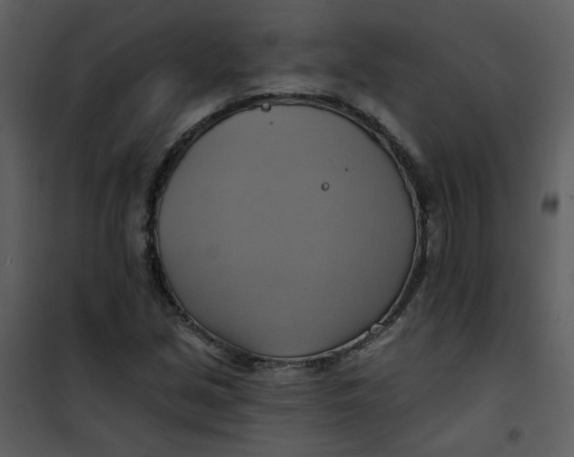 X0000101161213200807181351