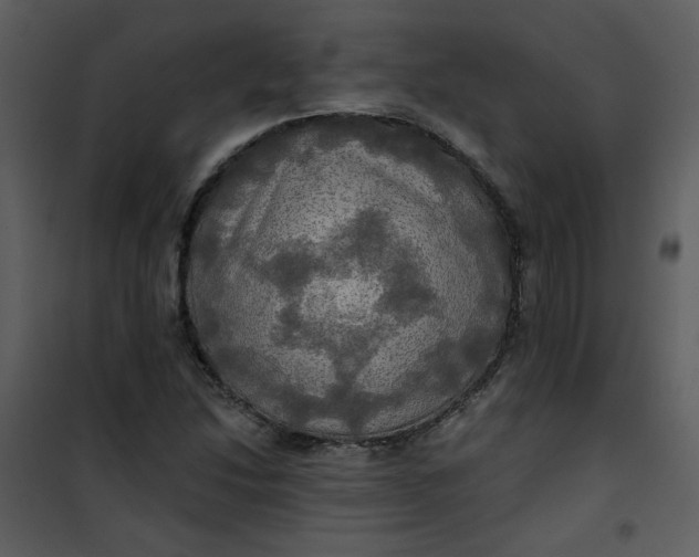 X0000101161214200807181351