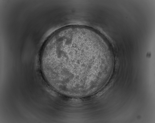 X0000101161215200807181351