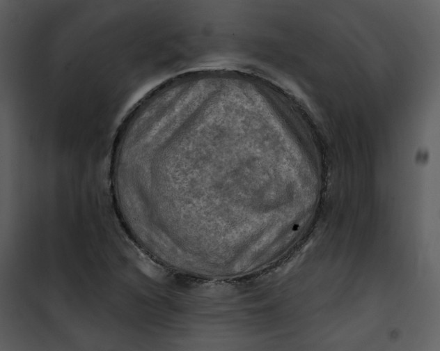 X0000101161216200807181351