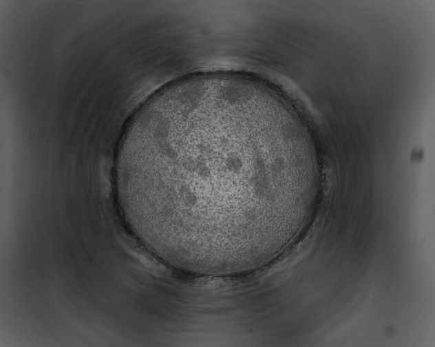 X0000101161217200807181351