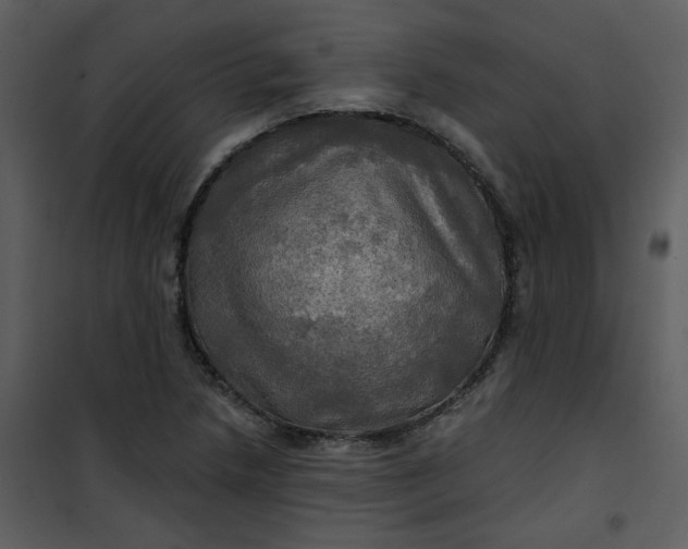 X0000101161218200807181351