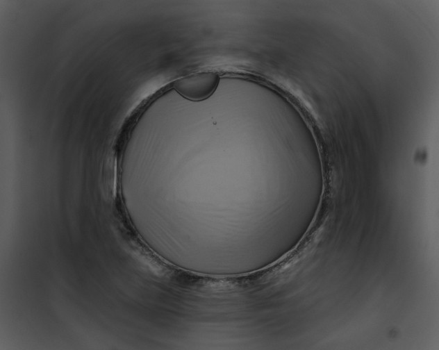 X0000101161219200807181351