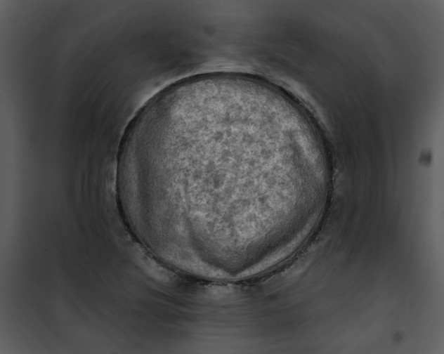 X0000101161220200807181351