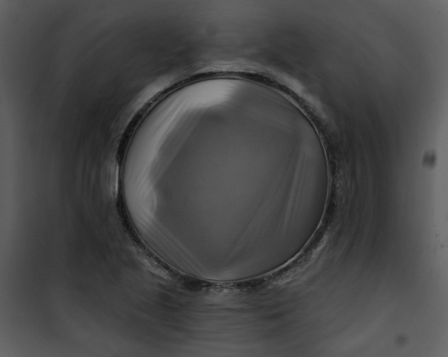 X0000101161221200807181351