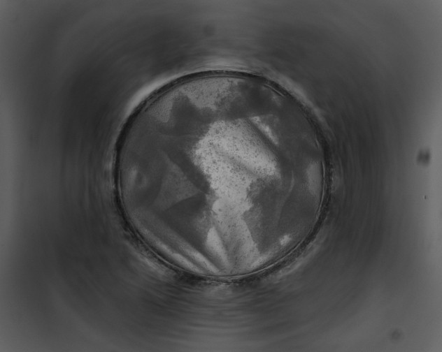 X0000101161222200807181351