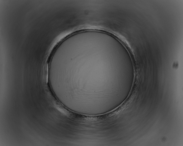 X0000101161223200807181351