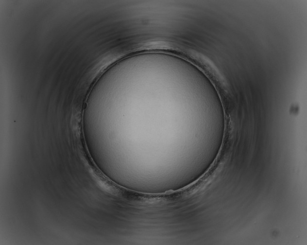 X0000101161225200807181351