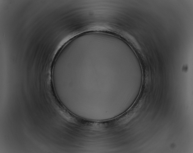 X0000101161226200807181351