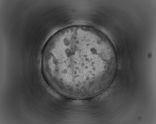 X0000101161227200807181351