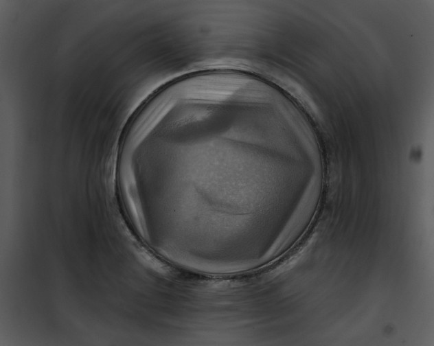 X0000101161228200807181351