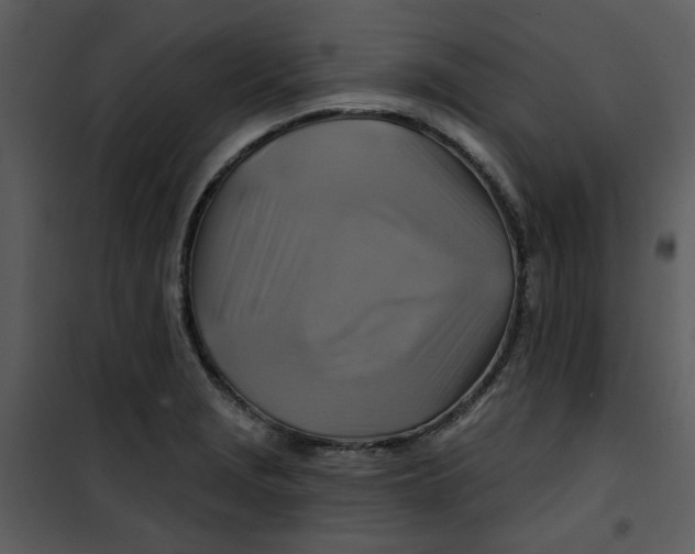 X0000101161229200807181351