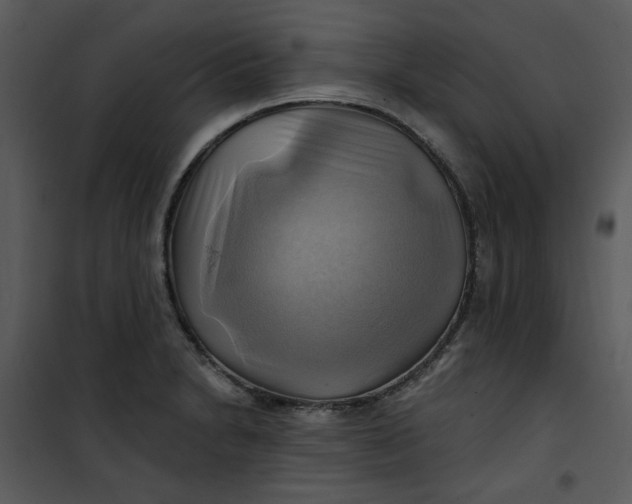 X0000101161230200807181351