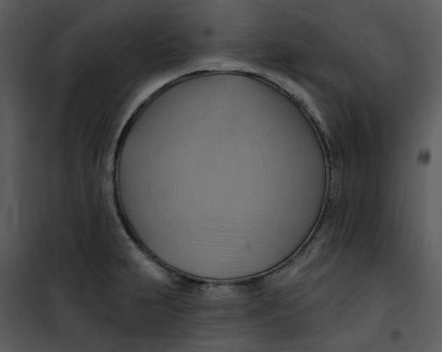 X0000101161231200807181351