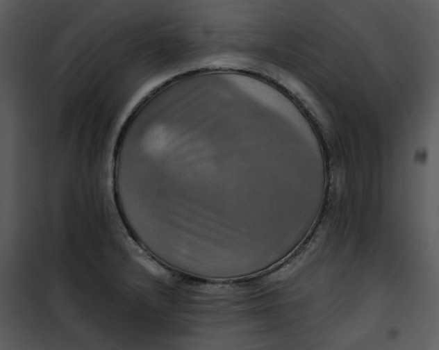 X0000101161232200807181351