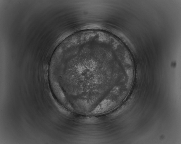 X0000101161233200807181351