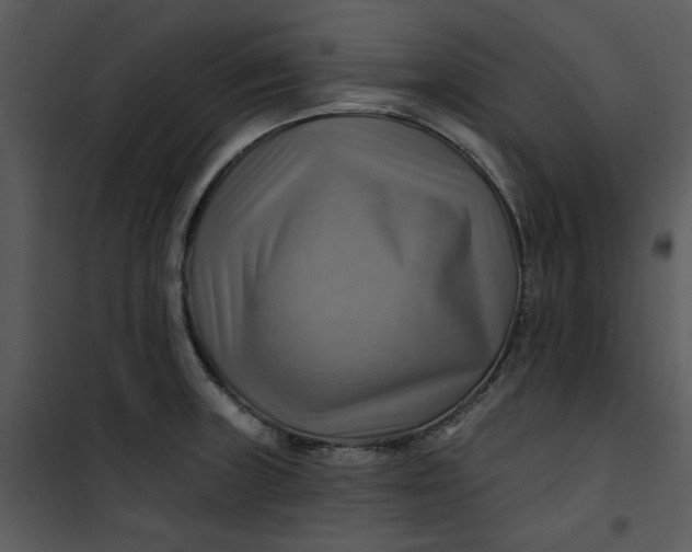 X0000101161235200807181351