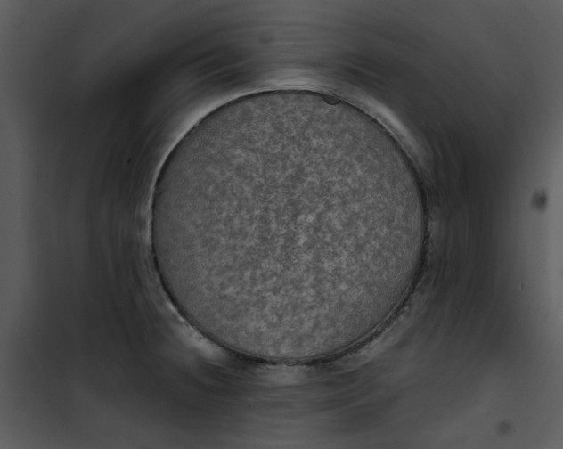 X0000101161236200807181351