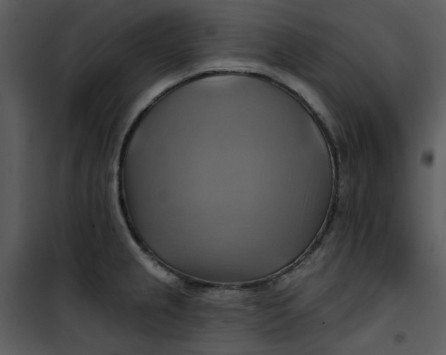 X0000101161237200807181351