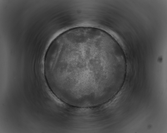 X0000101161238200807181351