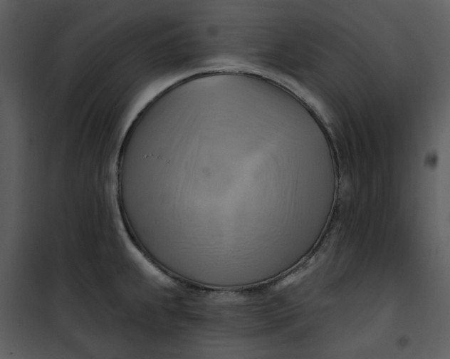 X0000101161239200807181351