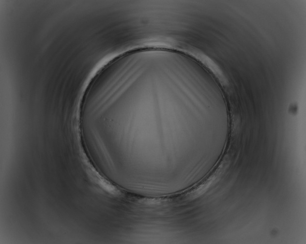 X0000101161240200807181351