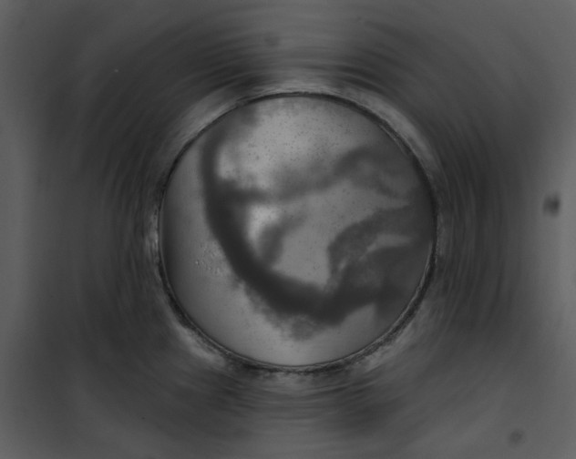 X0000101161241200807181351