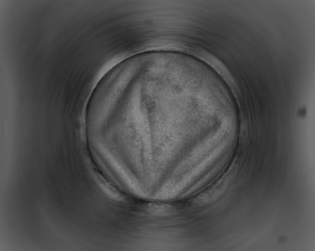 X0000101161242200807181351