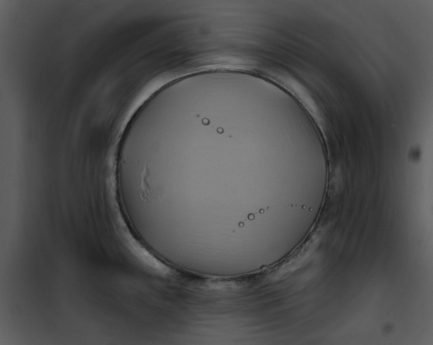 X0000101161243200807181351