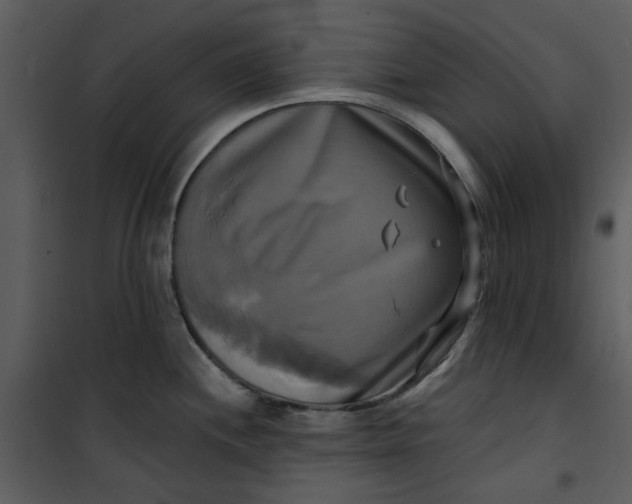 X0000101161244200807181351