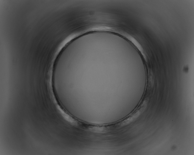 X0000101161245200807181351