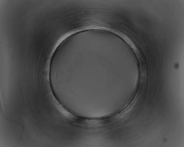 X0000101161246200807181351