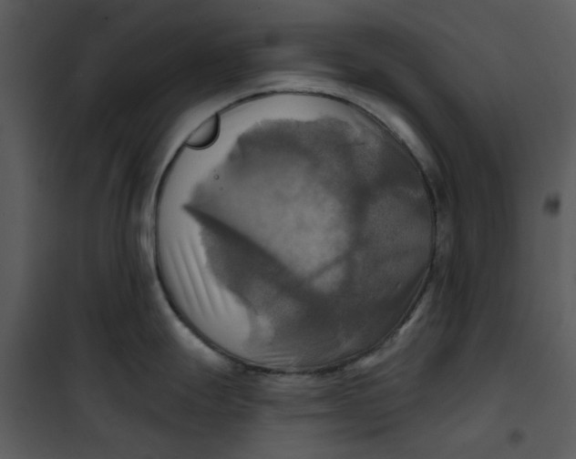 X0000101161247200807181351