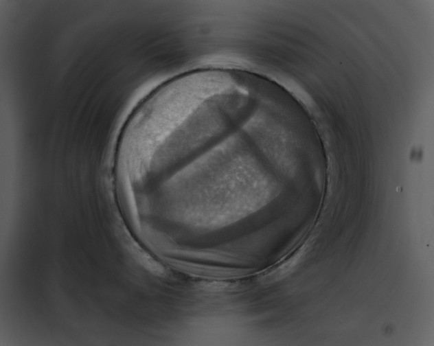 X0000101161248200807181351