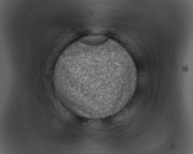 X0000101161249200807181350